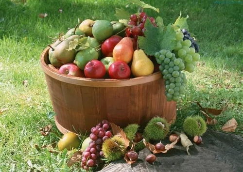 吃水果的正確方式，你真的都知道嗎？